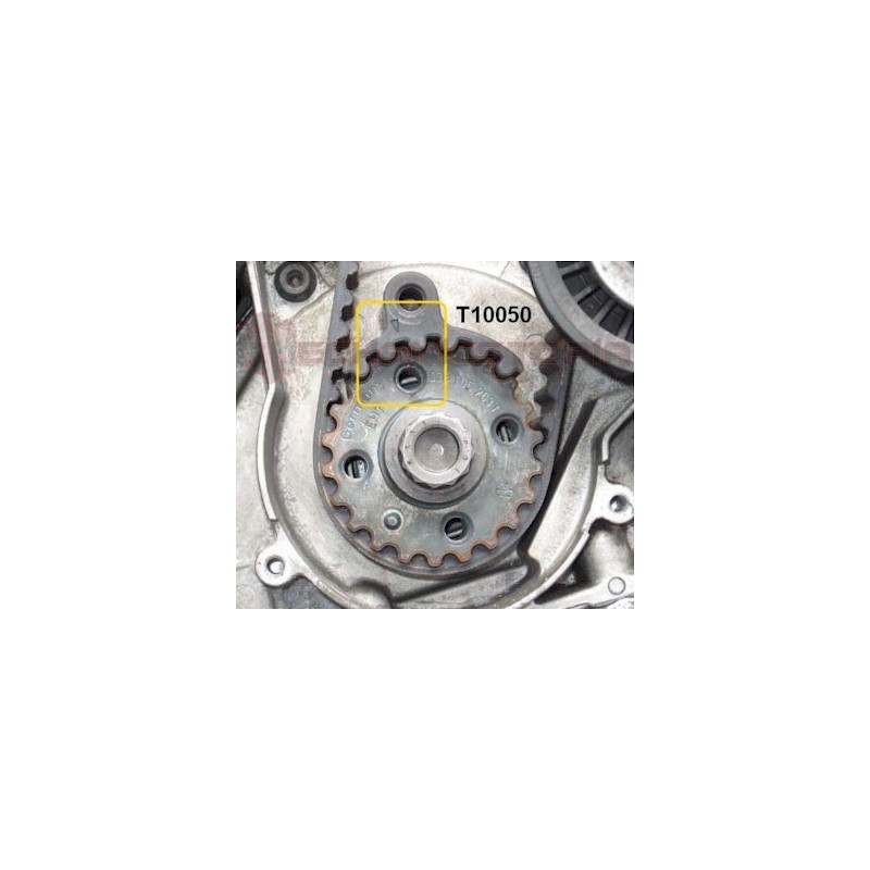 Kit calage courroie de distribution 1.9L TDI